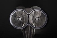 [白銀之手]&lt;預購&gt;2019南非大五系列1-大象10400