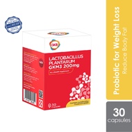 GKB L. Plantarum GKM3 30s (Weight Loss & Probiotic for Body Fat Reduction)