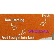 [WHOLESALE/BORONG] BBS Kering Decapsulated Baby Brine Shrimp Eggs [Direct Feed] 1KG