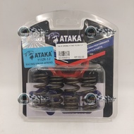 ATAKA Racing Valve Spring For Y15ZR