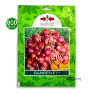 Benih Bawang Merah Sanren F1 800 Butir Cap Panah Merah
