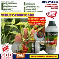 BIOPATEK 500ML Fungisida Hayati Obat Hama Virus Gemini Cabe Pengendali Pucuk Daun Kekuningan Anti Vi