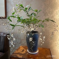 Yuqiange Hanging Silk Jasmine Potted Plant White Jade Pansy Seedlings Hanging Jasmine Flowering Potted Plant Balcony Han