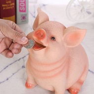Pigggy Bank Piggy Bank Zodiac Piglet Piggy Bank Piggy Bank Piggy Bank Piggy Bank Cartoon Pig