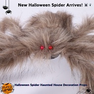 Halloween Spider Haunted House Decoration Props Prank Toy Fake Spider Web with Plush Realistic Spide