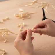 6 Pieces Dinosaur Fossil Skeleton Building Kit Prehistoric Dinosaur Skeleton Kit Fossil Reproduction