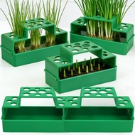 Scallion Hydroponic Planter - Root Vegetable Nursey Tray - Soilless Cilantro Growing Pots - Garlic S