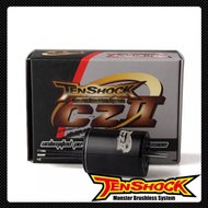 BRUSHLESS MOTOR TENSHOCK CZ-1515 4Pole