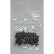 Black Pepper Berries / Biji Lada Hitam