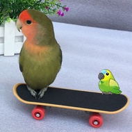 Skateboard Toy Mini Ease Anxiety Plastic Skateboard Training Toy for Budgie
