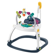 Fisher-Price Baby Jumperoo Baby Bouncer and Activity Center with Lights and Sounds