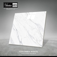 Granit Motif Colombia White 60x60 Valentino Gress