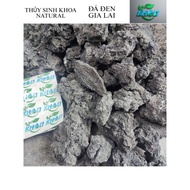 Gia Lai Black Stone, Set Up Design for Aquarium Decoration, Super Beautiful Selected Aquatic Product