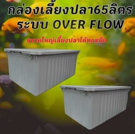 อ่างเลี้ยงปลา 65 ลิตร overflow ขนาด64xx44x31ซ. (กล่องสีขาวครีม) กะบะเลี้ยงปลา อ่างเลี้ยงปลา อ่างเลี้