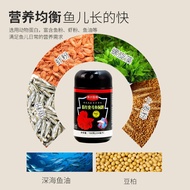 鱼水国度小型鱼仿红虫鱼食慈鲷孔雀鱼观赏鱼小颗粒鱼粮仿红虫鱼食Fish Water Country Small Fish Red Worm Fish Food Cichlids Holerusmu234