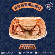 每日新鮮直送 日本北海道鮮活毛蟹