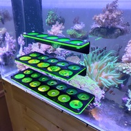 Fish Tank Fluorescence Coral Frag Rack Aquarium Reef With Plug Holder Stand 亚克力珊瑚繁殖支架 荧光发光 断肢支架A24