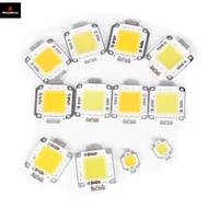 1pc cob led light dc led bulb chip on board 10W 20W 30W 50W 70W 100W 2 colors
