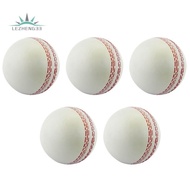 Sports Cricket, Training Cricket, Sports Wind Swing Rebound  Cricket, Elastic Decompression Ball