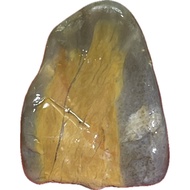 Taiwan Taitung Success Sea Wash Translucent Gherkin Meat Black Rice Cake Jade