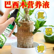 Brazilian Wood Rooting and Sprouting Special Nutrient Solution for Hydroponic Plant Growth Accelerat