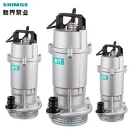 New TerritoriesQDXSubmersible Pump Farmland Irrigation Well Water Tower Pump Agricultural High Lift Well Water Pumper220V