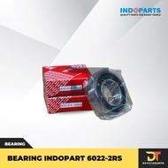 Bearing INDOPARTS 6022-2RS