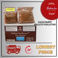 CACAO BARRY Pailleté Feuilletine 250G 500G 法国黄油脆片 Paillete Feuilletine FRENCH BISCUIT CRUNCH