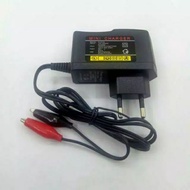 12 volt mini battery charger tool