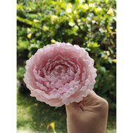 Edible Gumpaste Flower Closed Peony M Single Flower