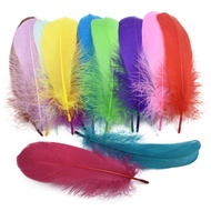 20Piece/Lot Prime Colored White Black Goose Nagoire Loose Feather 5-7"/13-18cm Geese Feathers for Cr