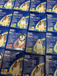 Nexgard預訂/S size 有現貨1 盒！