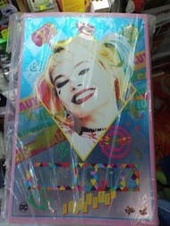 Hot Toys DC 猛禽小隊  Harley Quinn 小丑女