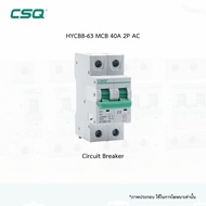 CSQ HYCB8-63 AC MCB 32A 40A 63A 2P