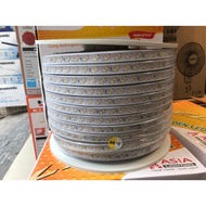 ASIA LD5730-120 2-row Color Changing LED String Light and NLD5730-120 LED source