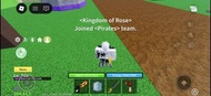 Roblox Blox Fruits 遊戲帳號 最強戰場 忍者傳說