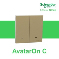 Schneider Electric AvatarOn C 16AX 250V 2G 2 WAY switch with fluorescent locator