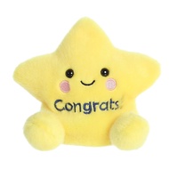 Congrats Star Soft Toy