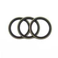 PISTON SEAL GSF-60 / SPGO 60*6.3