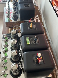 McIntosh