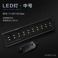 Desert Pet Lizard Gecko Spider Scorpion Landscape Glass Breeding Tank Natural Habitat Reptile Tank H