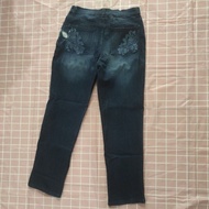 Gloria Vanderbilt Embroidered Jeans