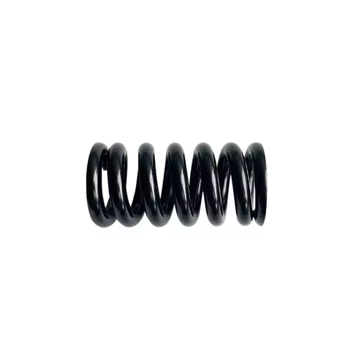 Taiwan EXA 290 291R and for DNM DV-22 DV-22AR Scooter bicycle rear shock absorber special spring 30.