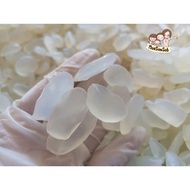 250g (Repack) Dried Attap seed Fruit kabung/sugar palm seed/Kolang kaling