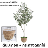 Rambo One ต้นไม้ปลอม ต้นโอลีฟ ต้นมะกอกปลอม120/150/180cm สไตล์นอร์ดิกอิน ลำต้นสีน้ำตาลเหมือนของจริง