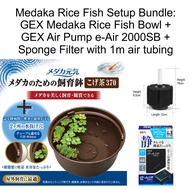 GEX Medaka Rice Fish 37cm Plastic Bowl/Pot Bundle