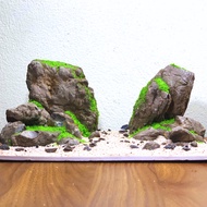 [Full combo tank 30x20x20 with Full accessories] Dai thousand rocky mountain miniature fish tank set