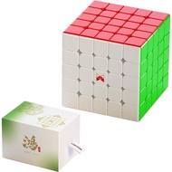 Qiyi X Man Hong 5x5 Ball Core UV Coated Magnetic Speed Cube, QY Toys XMan Hong 5x5 Magnetic Stickerl