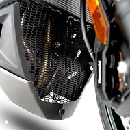 R&G Ninja 1000SX RG-DG0063PROBK Downpipe Grille Guard Black