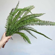 Cây giả - cây dương xỉ giả dương xỉ cổ đại size 50cm hàng cao cấp siêu đẹp